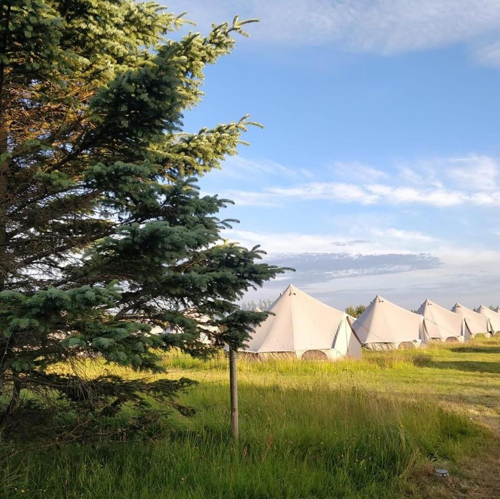 Godaland Glamping ハヴォルスヴォルール エクステリア 写真